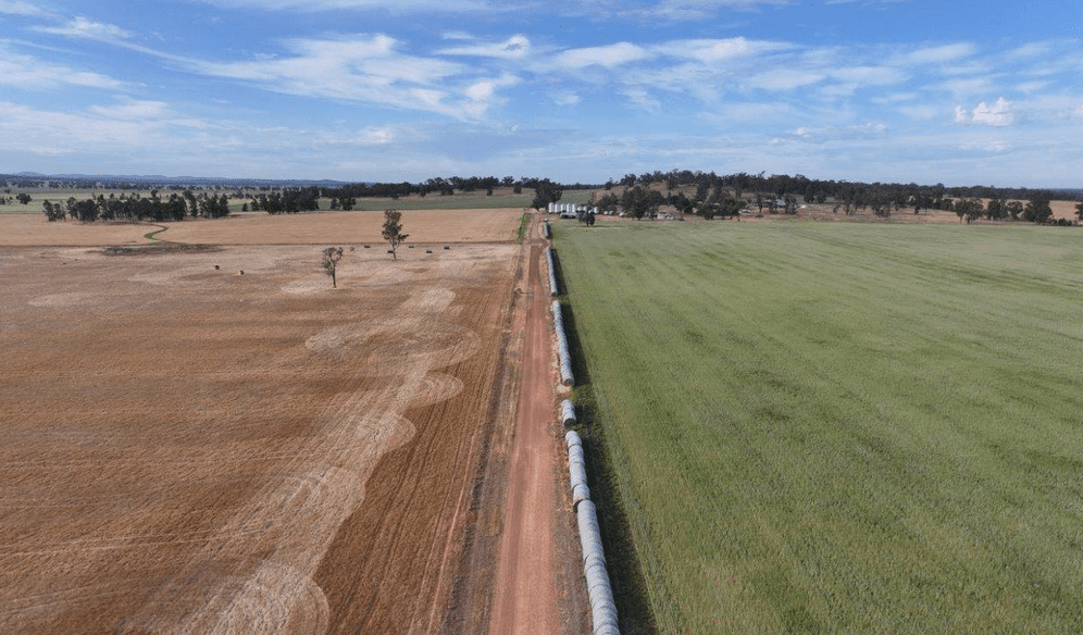 Season finish, input costs see demand firm for quality cropping country