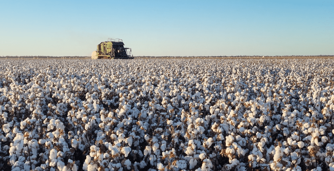 lawd eastern australia cropping listing eoi close 26 feb 2026