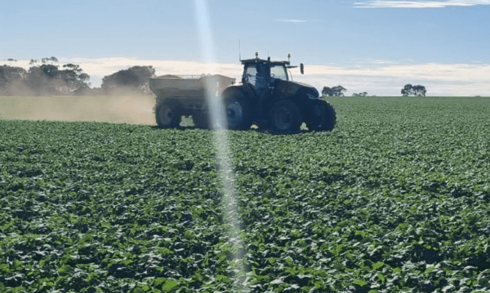 pioneer seeds - australia x 4 jun 2026