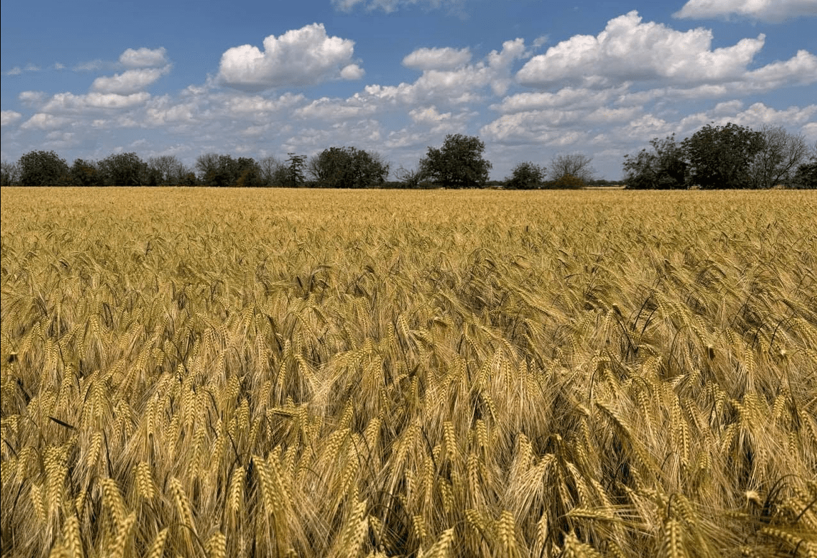 agrain facebook 15 june 2026