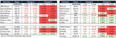 Supplied: Lachstock
