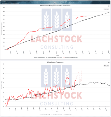 Supplied: Lachstock