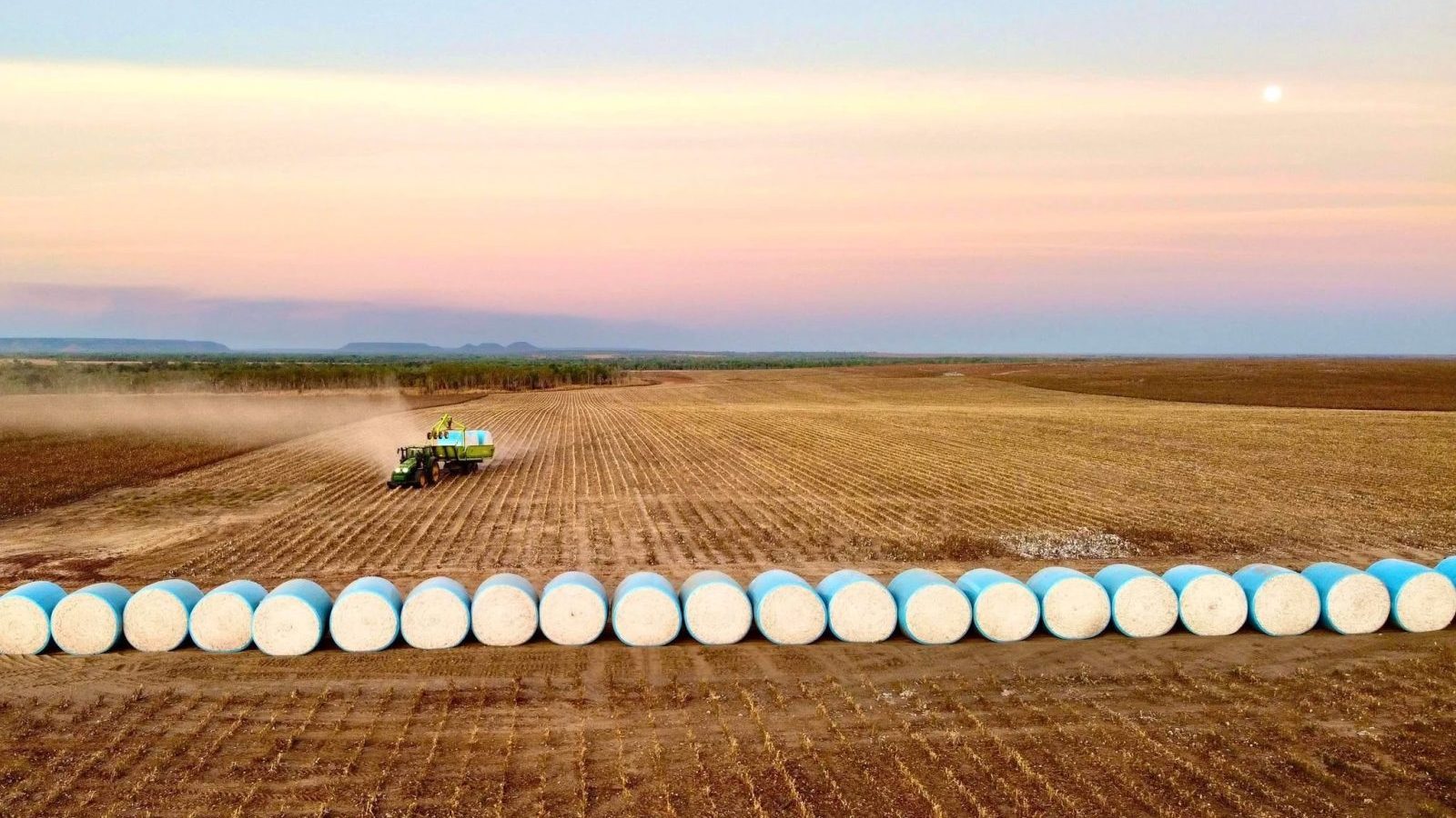 Northern Cotton Pty Ltd - gin people