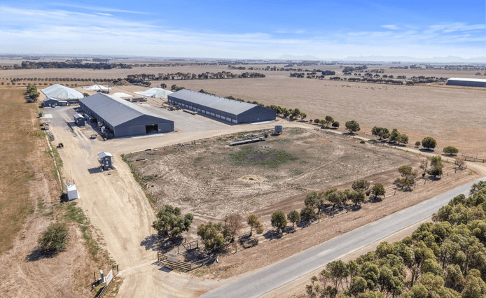 colliers listing