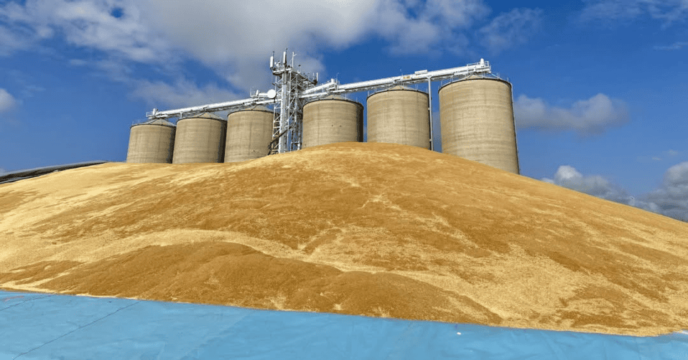 graincorp fb 22 jan 2026