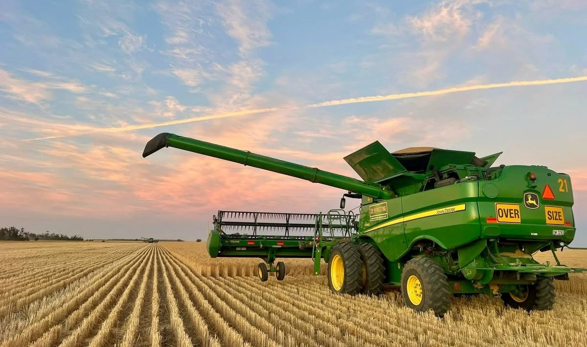 bb harvesting fb 8 jan 2026