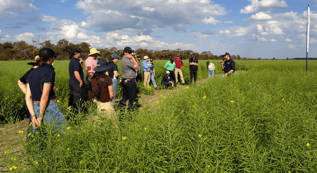 stirlings to coast farmers 18 sep 2026