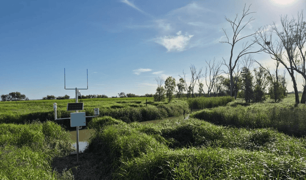 environment nsw gwydir wetlands page