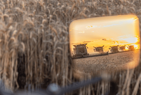 graingrowers website