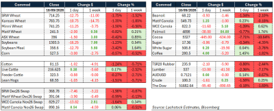 Supplied: Lachstock