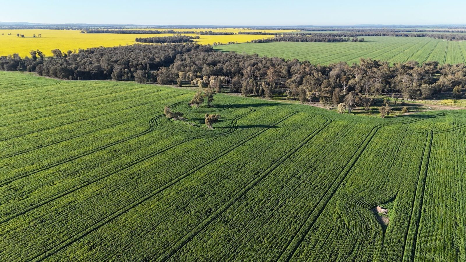 inglis listing