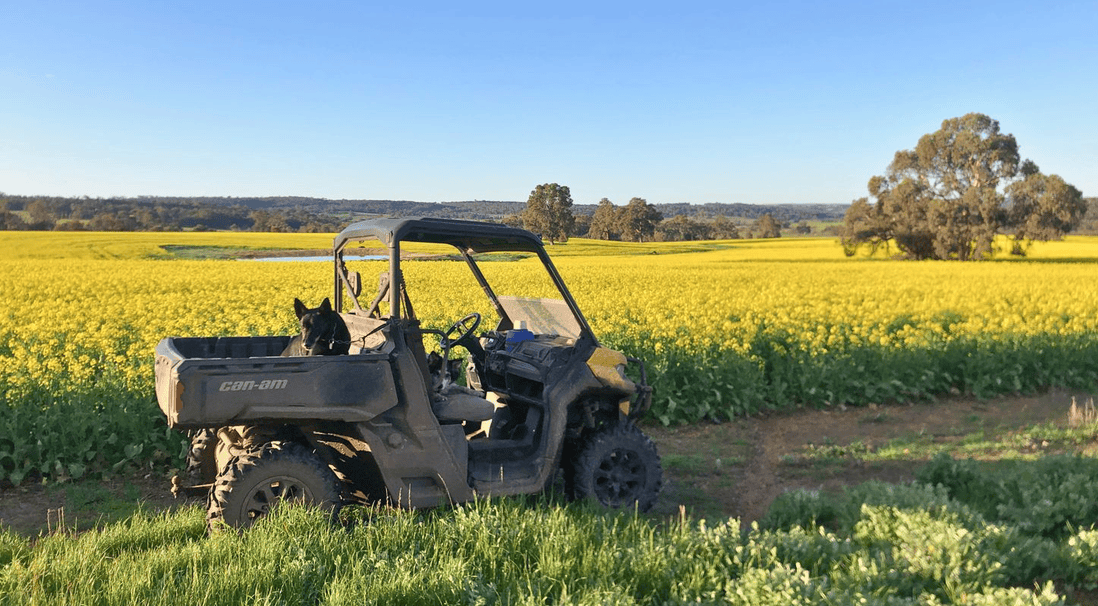 nutrien harcourts listing
