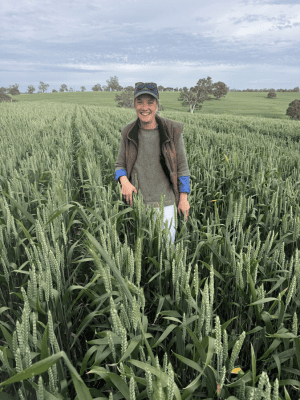 matthew sparke x 15 oct 2026