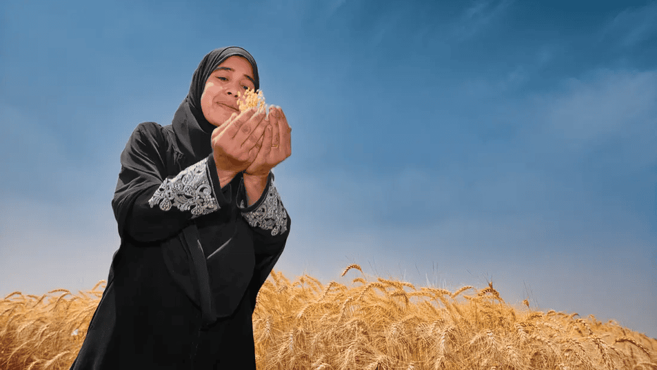 icarda website 15 oct 2026