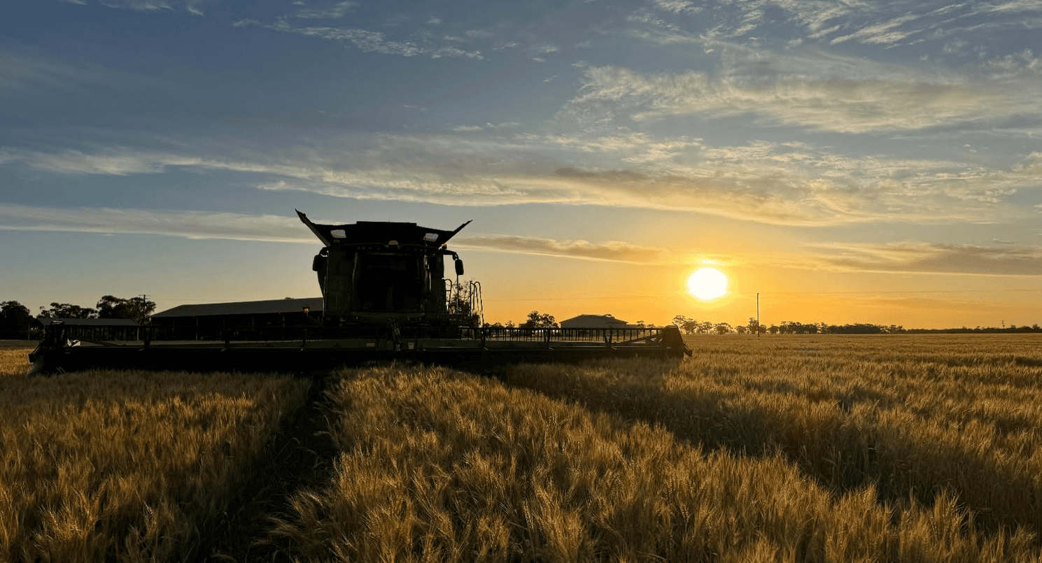 lawson grains facebook 7 nov 2023