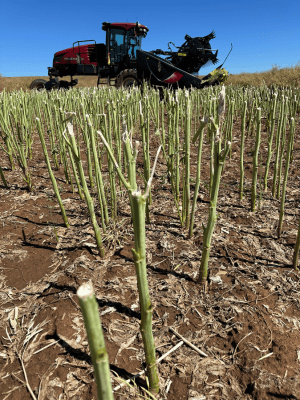 grassrootsag x 26 oct 2026