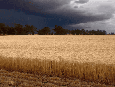 farmer from down under facebook 21 oct 2026